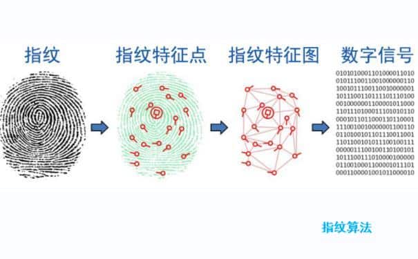 指纹算法