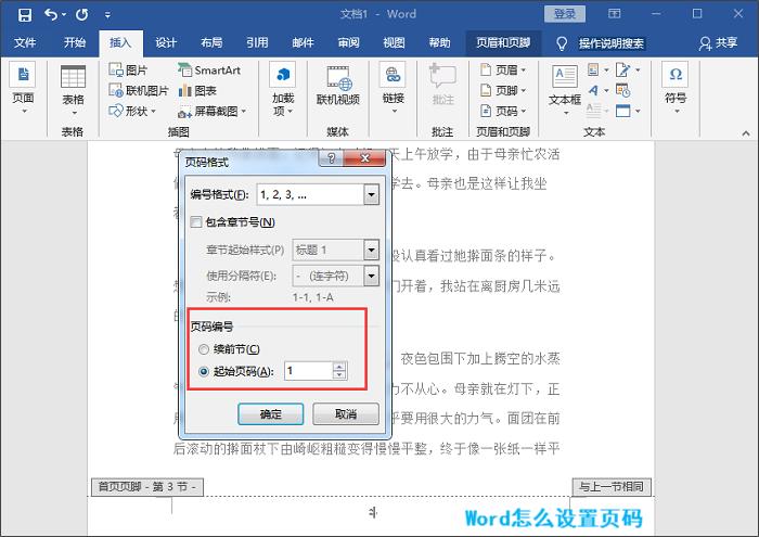 Word怎么设置页码